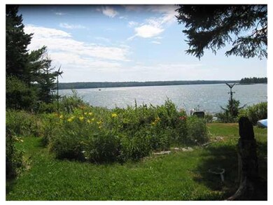 Back Yard.