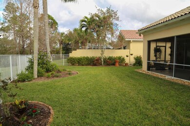 BACK YARD 2