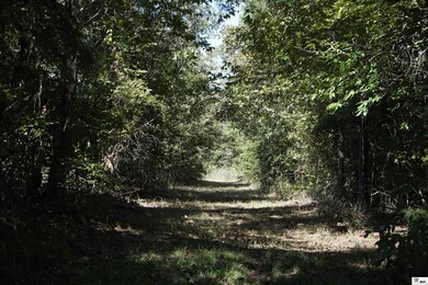 0A Anderson Rd, Choudrant, LA 71227 - photo 7