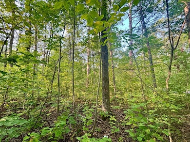 .55A On N Scipio Ave, Bass Lake, WI 54843 - photo 5