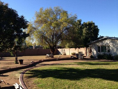 view from backyard