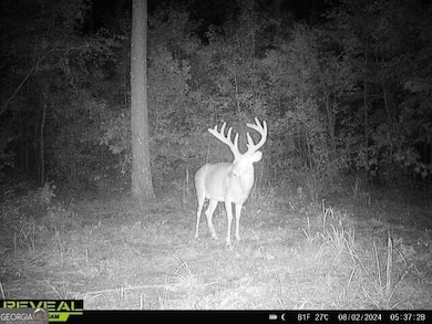 0 Seven Islands Rd unit 10585751, Madison, GA 30650 - photo 7