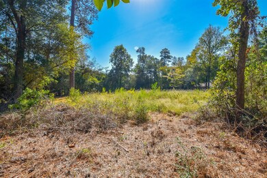 2423 Hickory Hollow Ln, Spring, TX 77386 - photo 6