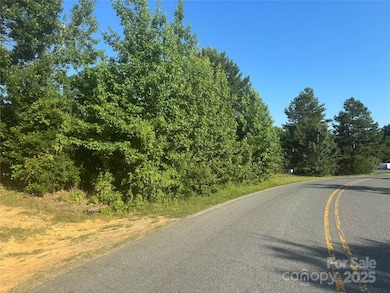 2842 Gray Fox Rd, Lake Park, NC 28079 - photo 3