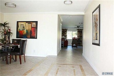 View When You Come in Front Door