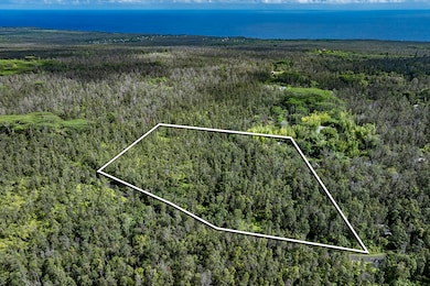 12-4235 Upper Puna Rd, Pahoa, HI 96778 - photo 2