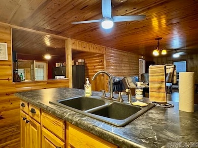 4373 Highway 25, Powhatan, AR 72458 - photo 7