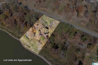 0 Willow Dr unit 21436835, Lincoln, AL 35096 - photo 4