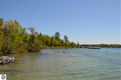 0 Rivershore Dr, Elk Rapids, MI 49629 - photo 4