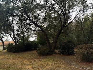 Mature Landscaping