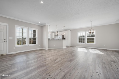 131 New Hope Rd, Jonesborough, TN 37659 - photo 7