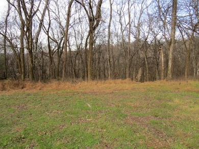 958 Dollar Hollow Rd, Pulaski, TN 38478 - photo 3