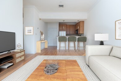 19 Knowlton St unit 4, Boston, MA 02127 - photo 3