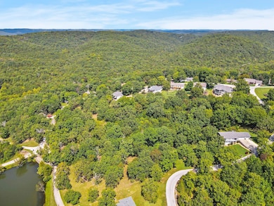 50 Irish Hills Blvd, Kimberling City, MO 65686 - photo 2