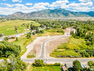 Aerial view of a mountain backdrop and a tree filled landscape
