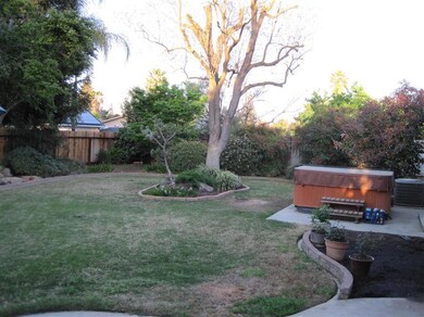 Backyard with Spa