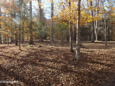 TBD Rt 516 Old Cross Rd, Pineville, KY 40977 - photo 2