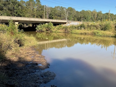 3200 Alabama 10, Brundidge, AL 36010 - photo 2