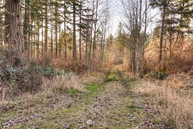 unlisted-address, Roy, WA 98580 - photo 4