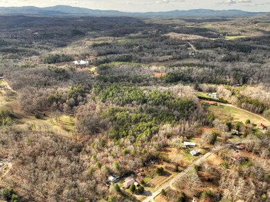 9.22 Ac Douthit Rd, Mineral Bluff, GA 30559 - photo 2