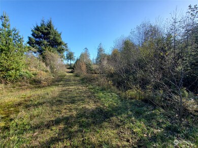 36602 Stackpole Rd, Oysterville, WA 98641 - photo 7