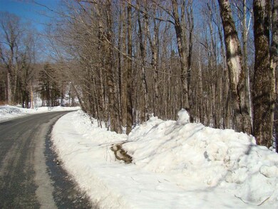 0 Shippee Rd, Readsboro, VT 05350 - photo 4