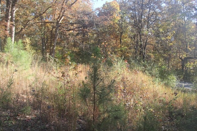 1101 Salem Rd, Rossville, GA 30741 - photo 6