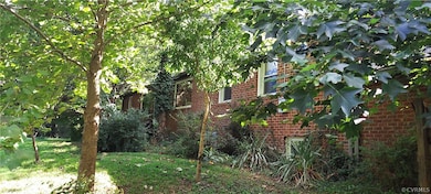 Lots of beautiful shrubs