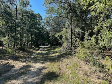 0 Newman Rd unit 22348697, Mobile, AL 36695 - photo 3