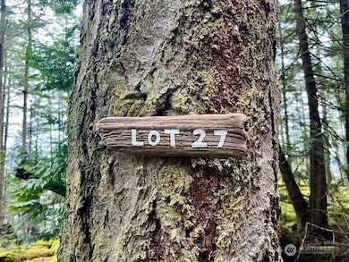 0 Lot 27 Peavine Way, Olga, WA 98279 - photo 2