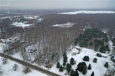 0 Kale Adams Rd SW, Newton Township, OH 44481 - photo 4