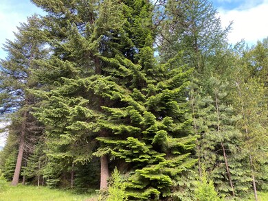 139 Graham Grove Ln, Trout Creek, MT 59874 - photo 6