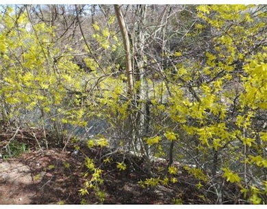 632 Chickering Rd, North Andover, MA 01845 - photo 6