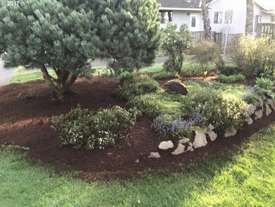Front Yard