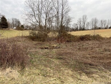 Property does have a sink hole.  One small one and