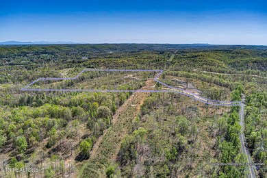 06_RRLT_Lot-3_Birdseye_S