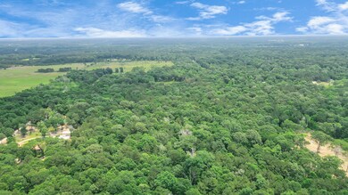 9667 Fostoria Rd, Cleveland, TX 77328 - photo 3