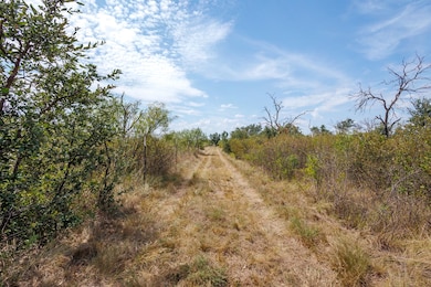 3995 Fm 1176, Brownwood, TX 76801 - photo 5