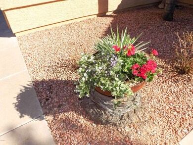 Spring Flowers