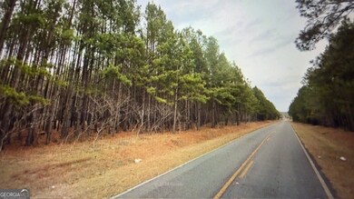 LOT 8-9 Rocky Springs Rd, Eastman, GA 31023 - photo 3