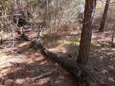 3.35 AC S Highway 71, Winslow, AR 72959 - photo 6