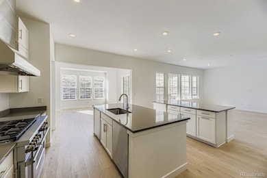 4190 Descent St, Castle Rock, CO 80108 - photo 2