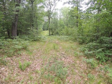 no # 14 Mile Rd, Bitely, MI 49309 - photo 7