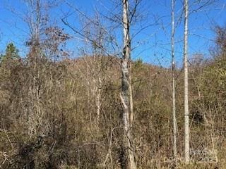 418 Owl Hollow Rd, Marion, NC 28752 - photo 5