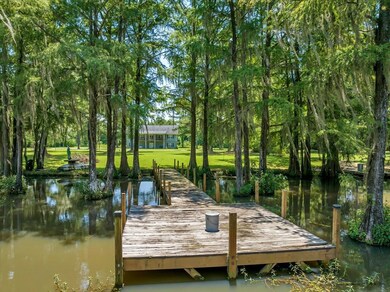 135 Statham Lake Front, Cobb, GA 31735 - photo 5