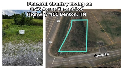 6801 Highway 411, Benton, TN 37307 - photo 3