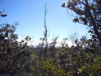 0 Paradise Pkwy unit 251488, Ocean View, HI 96737 - photo 2