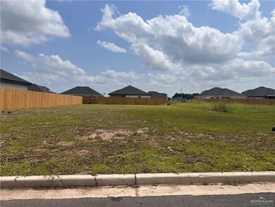 605 Gerardo Ln, Donna, TX 78537 - photo 2