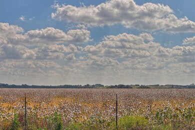 21021 Trailwood Dr, Whitney, TX 76692 - photo 3