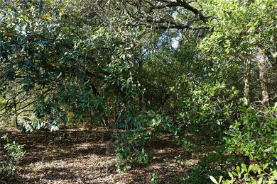 1399 E Ridgefield Dr, Hernando, FL 34442 - photo 6